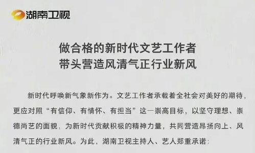 娱乐圈吃瓜报告,揭秘明星幕后故事与热点事件